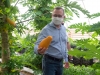 В Калуге начали выращивать папайи