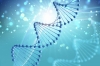 Генеалогическая компания «Археограф» и компания генетических исследований «ДНК-Наследие» договорились о партнерстве.