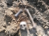 Останки пропавшего год назад мужчины нашли на проселочной дороге под Калугой