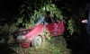 21-летняя девушка-водитель погибла, врезавшись в дерево