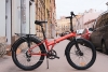 Компания SHULZ из Санкт Петербурга запатентовала дизайн складного велосипеда