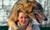 Калужский Центр реабилитации диких животных "Феникс" закрывается
