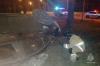 На окраине Калуги "Опель" разорвал выбежавшего на дорогу лося