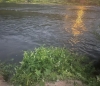 10-летняя девочка утонула в реке в Товарково