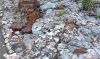 В Калужской области грибник нашел на поляне мешки с деньгами
