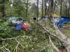 Участников байкерского фестиваля под Калугой раздавило деревом в палаточном лагере
