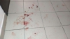 В Калуге мужчина зарезал соседскую кошку из-за громкого мяуканья