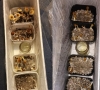 Житель Обнинска вырастил дома 330 наркосодержащих грибов