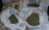У жителя Калуги нашли на даче 2 кг марихуаны 