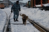 Калужские ФСБшники обезвредили "украинских диверсантов", пытавшихся подорвать мост через Угру