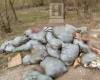 Огромную свалку из трупов животных обнаружили на Яченке