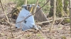 В Калужской области рухнул 3-метровый украинский дрон