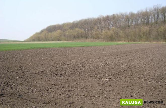 Калужские депутаты в 5 раз увеличили ставку земельного налога на неиспользуемые сельхозземли