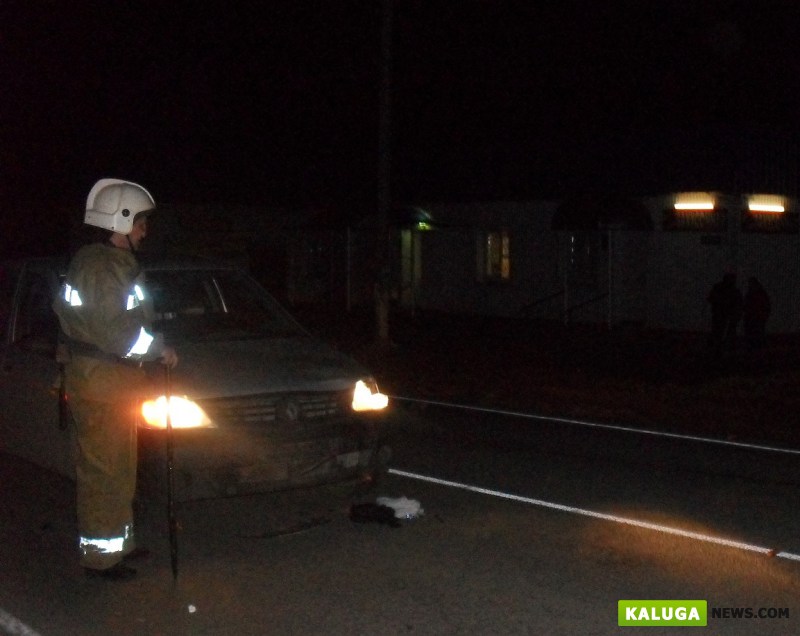 В Калужской области под колесами иномарки погиб 9-летний мальчик