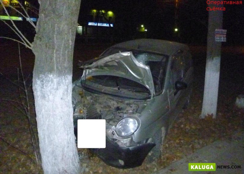 В центре Калуги пьяная женщина врезалась в дерево