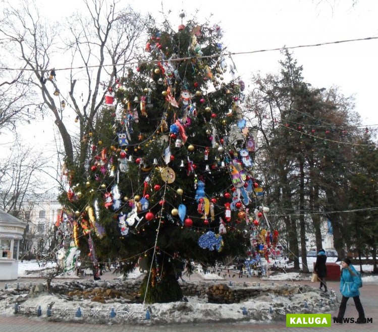 Калужский пенсионер не дал украсть гирлянду с новогодней елки