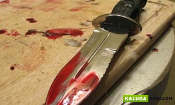 В Обнинске мужчина ударил ножом супругу из-за кошки