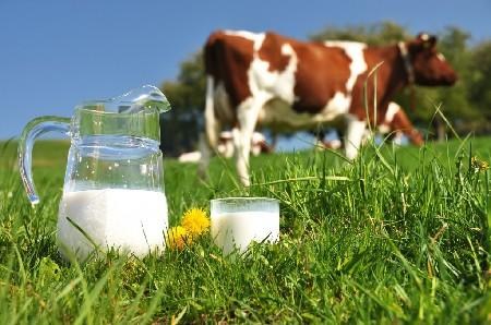 К сведению производителей молока и молочной продукции