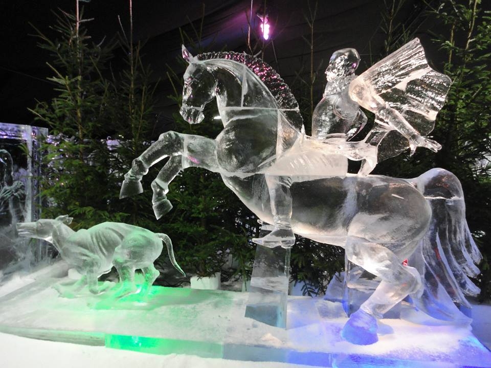 В Калуге на набережной водохранилица пройдет фестиваль ледяных фигур
