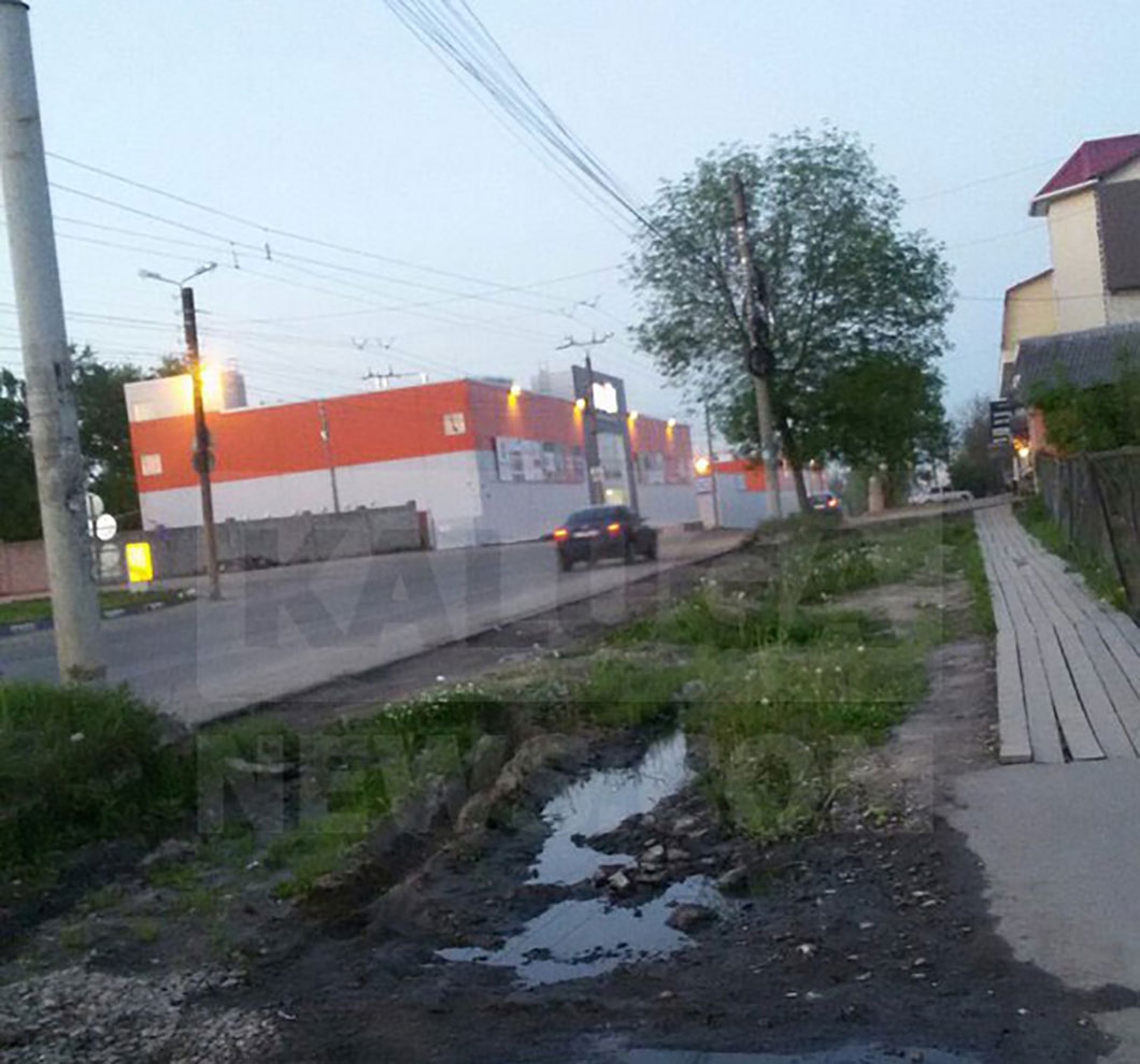 Артамонов дал указание избавиться от газонов между проезжей частью и тротуарами