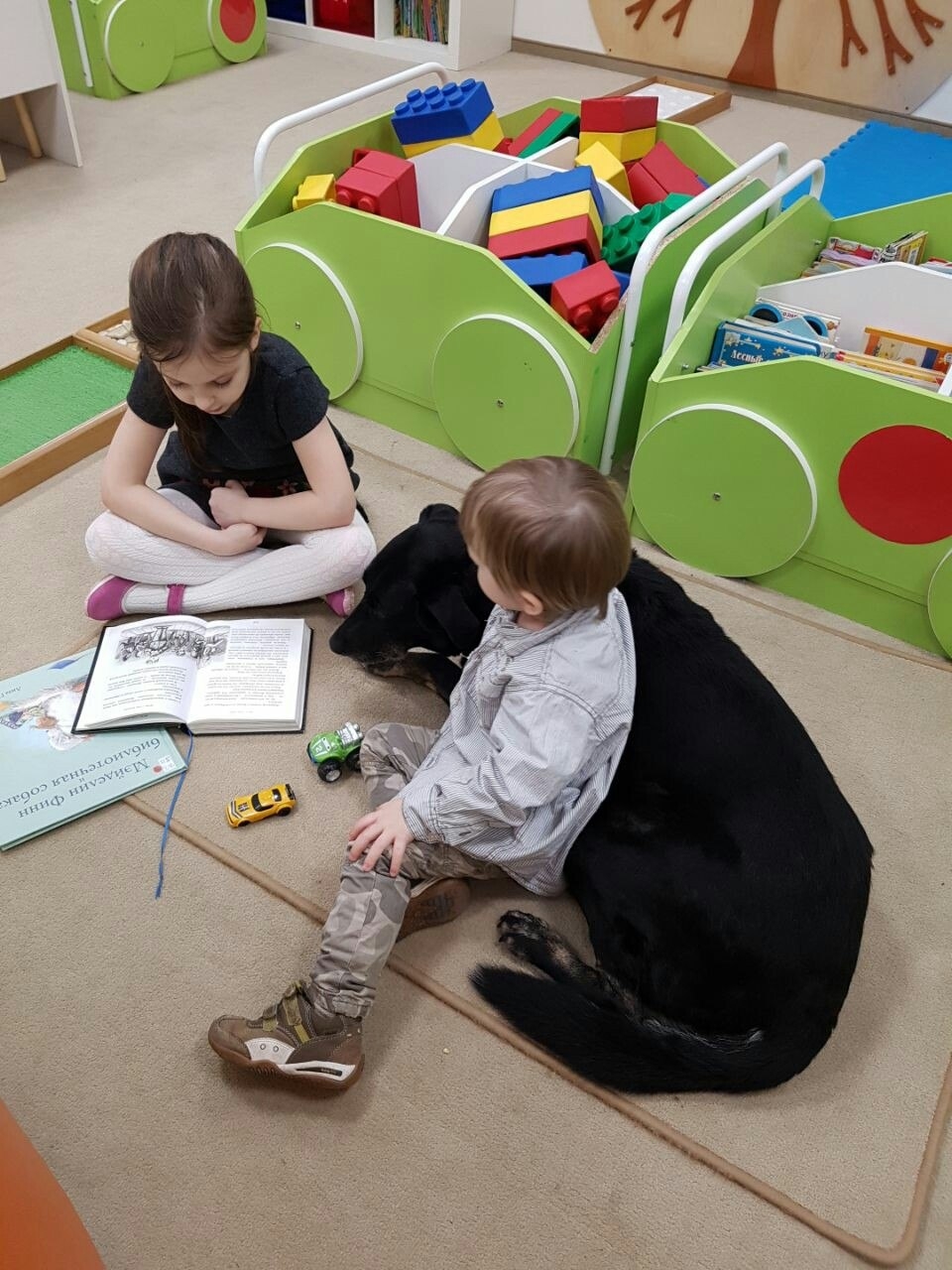 В Обнинске собаки учат детей читать