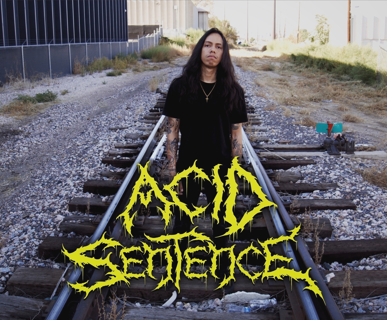 Дебютный сингл Acid Sentence