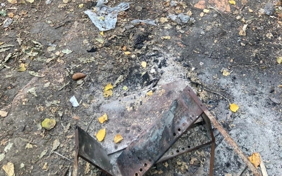 В калужском лесу нашли обгоревший труп женщины