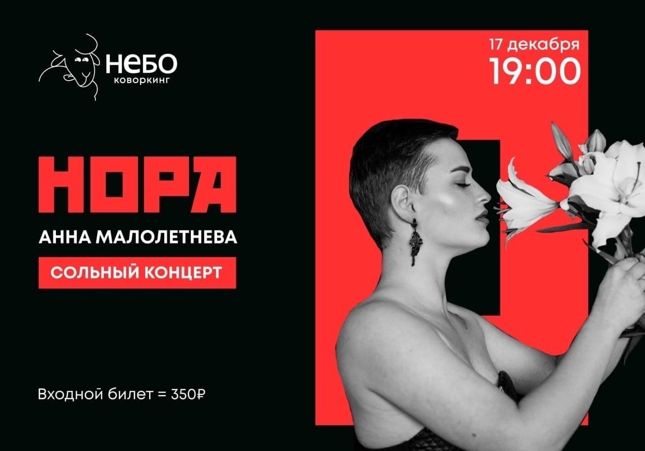 17.12 - Анна Малолетнева (Nora): сольный концерт - НЕБО