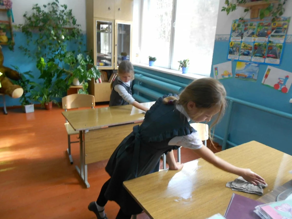 В российских школах хотят ввести обязательное "трудовое воспитание"