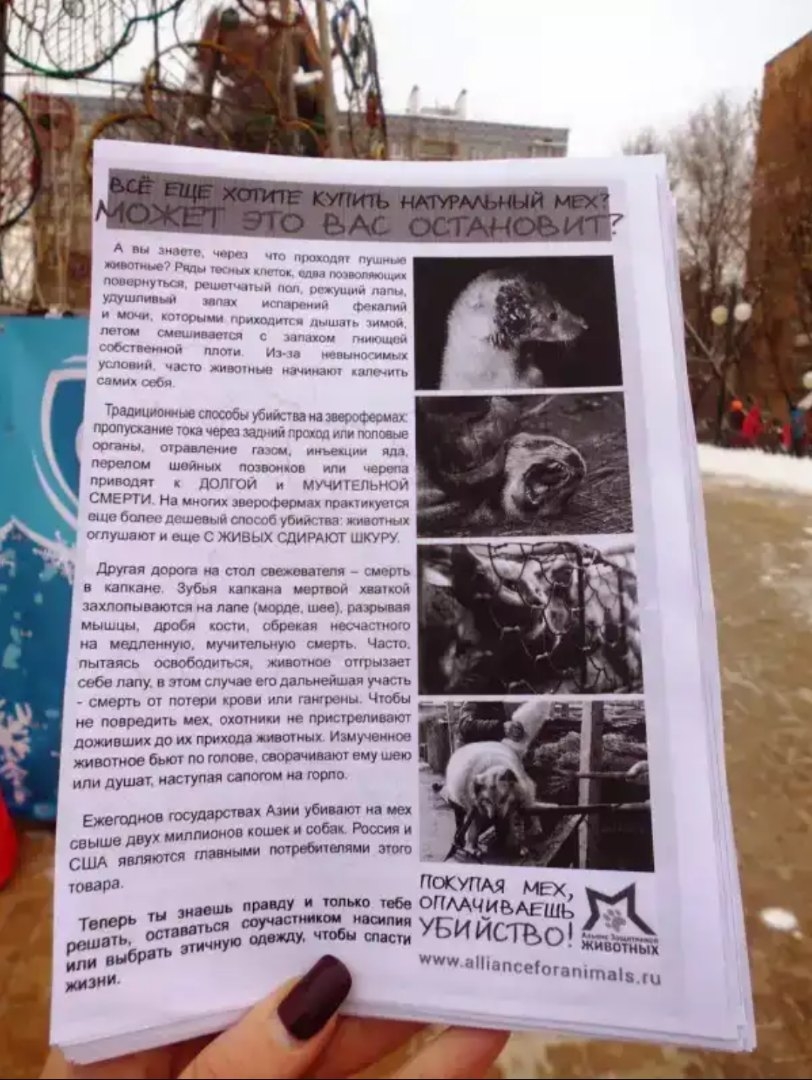 Антимеховую акцию «Животные — не одежда!» провели в центре Калуги