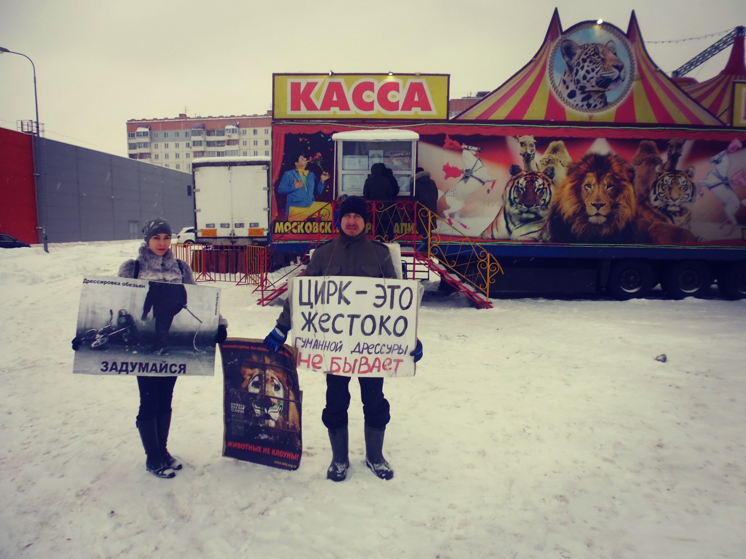 В Калуге прошел пикет против использования животных в цирках