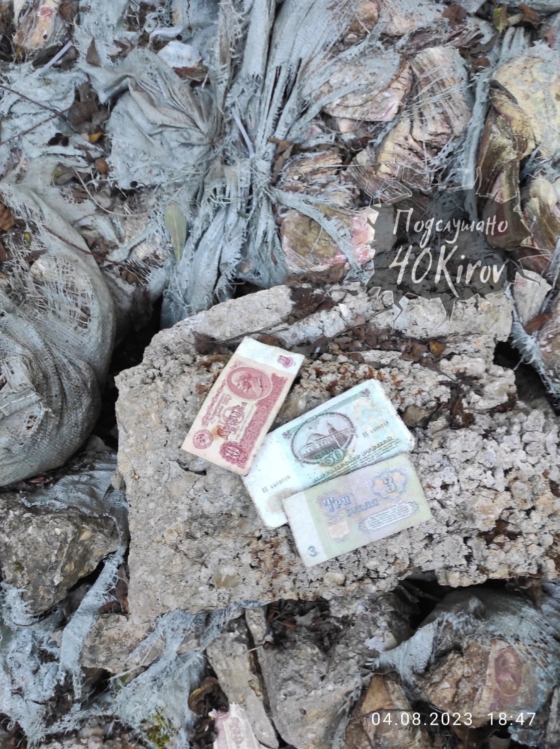 В Калужской области грибник нашел на поляне мешки с деньгами